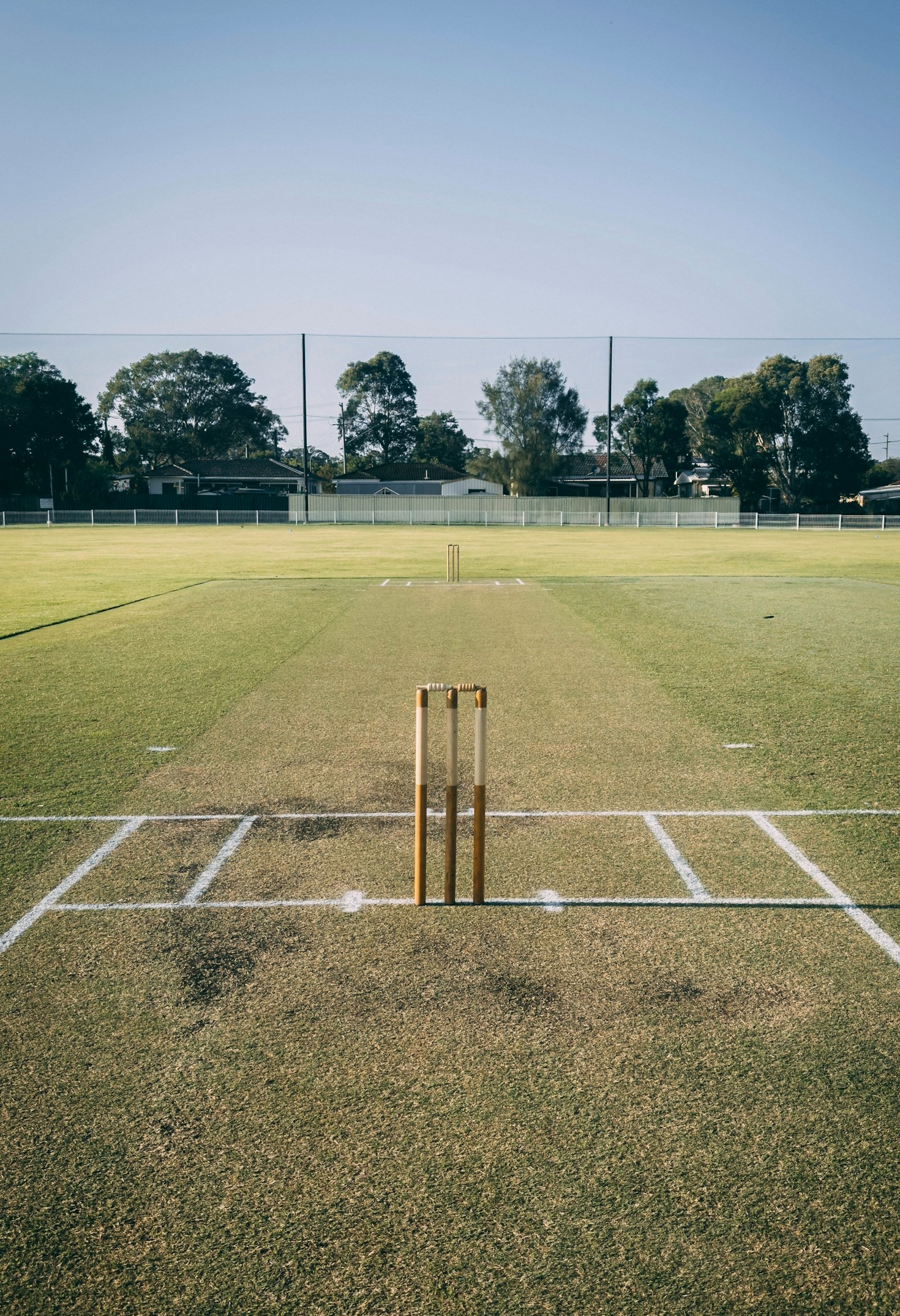 How Cricket Betting IDs Simplify Online Betting